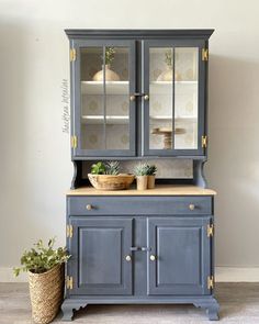 a blue china cabinet with two plants on top and one potted plant in the bottom