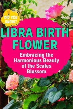 Libra Birth Flower Libra Birth Flower, Libra Zodiac Sign, Zodiac Sign Libra, Libra Zodiac, Scales