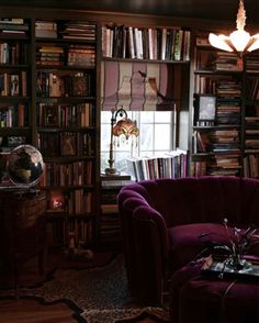 a living room filled with lots of books and furniture