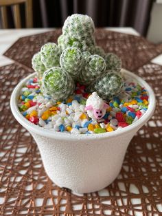 there is a small cactus in the pot with some candy on it's side