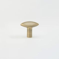 an antique brass cabinet knob on a white background