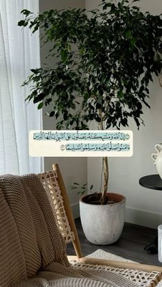 a small tree in a white pot on top of a table