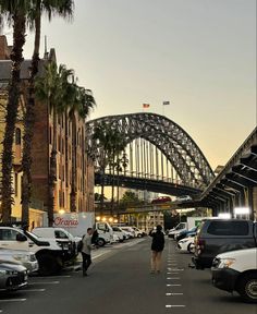 cars are parked on the side of the road in front of a bridge and palm trees