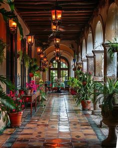 a long hallway with many potted plants and lights on either side of the walkway