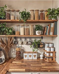 a kitchen with shelves filled with plants and other items on top of the wooden counter