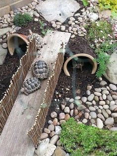 two tortoises sitting on top of a wooden bench in the middle of a garden