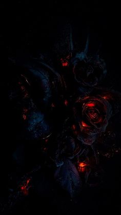 a dark background with red and black flowers