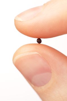 a tiny black bead in someone's finger