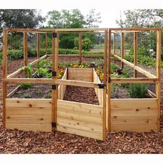 an outdoor garden area with raised wooden planters and plants growing in the center, surrounded by mulch