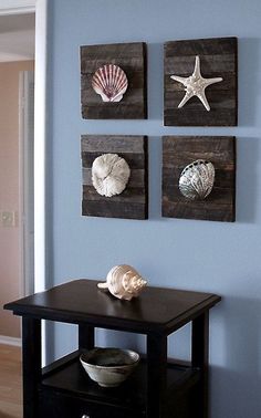 three seashells are mounted on the wall above a small table in a living room