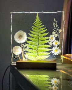 a green leaf and some white flowers on a glass table with water in the foreground