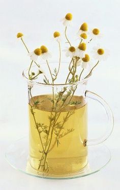 a glass mug filled with water and flowers