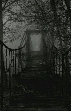 an old bridge in the woods on a foggy day