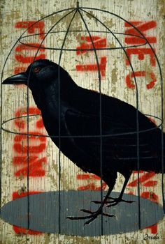 a black bird sitting on top of a cage