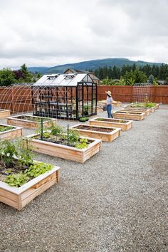 a woman is standing in the middle of an outdoor garden with raised beds and vegetables