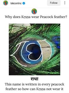 an image of a peacock with the caption'why does krsna wear peacock feathers? '