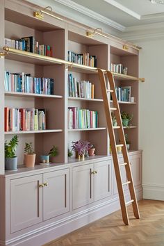 a ladder leaning up against a bookshelf filled with lots of books and plants