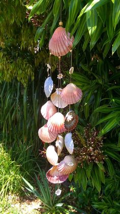 a wind chime made out of seashells hanging from a tree