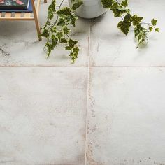 a potted plant sitting on top of a white tiled floor next to a chair