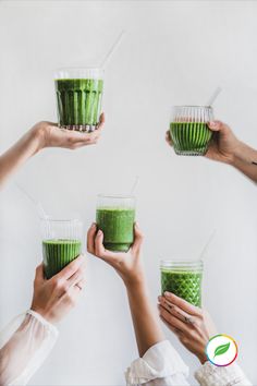 four people holding glasses filled with green smoothies