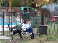 a woman sitting in a chair next to a dog on the grass near a pool