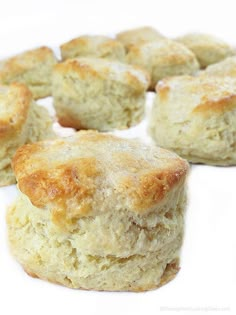 several biscuits are arranged in the shape of squares