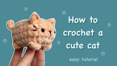 a hand holding a small stuffed animal with the words how to crochet a cute cat