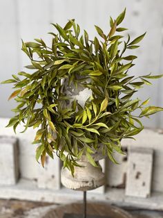 a potted plant sitting on top of a wooden table