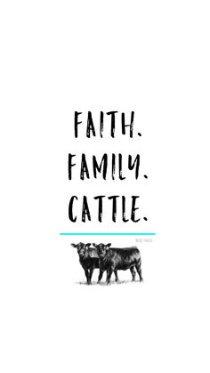 Livestock Quotes, Cow Quotes, Show Cows, Show Cattle, Showing Livestock, Country Girl Quotes, Cattle Ranching, Iphone 6 Wallpaper