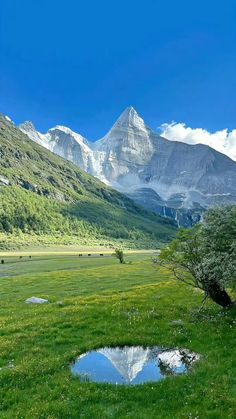 a grassy field with water in the middle and mountains in the backgrouund