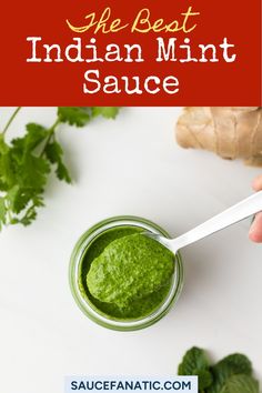 This easy Indian mint sauce recipe makes a delicious yogurt mint sauce with a beautiful green color in under 5 minutes. You’ll love this bright and simple blender recipe that will keep for quick meals throughout the week. Indian Mint Sauce, Sukiyaki Sauce, Mint Sauce Recipe, Avocado Dips, Chinese Garlic Sauce, Butter Chicken Sauce, Blender Recipe, Chinese Garlic