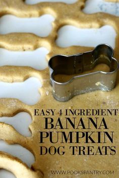 an easy recipe to make homemade banana pumpkin dog treats for the whole family with only 4 ingredients