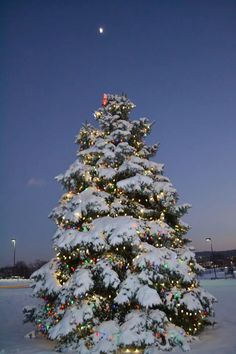 a large christmas tree is covered in snow and lit up with multicolored lights