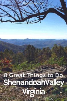 the mountains with text that reads 8 great things to do in shenandana valley, virginia