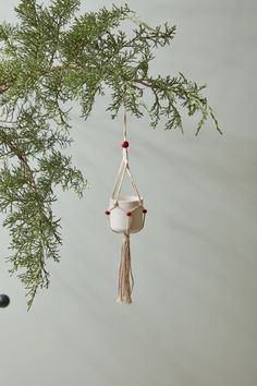 an ornament hanging from a tree branch