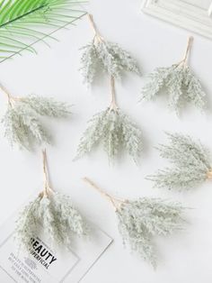 four white flowers are hanging from a string on a table next to some leaves and a window