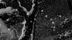 black and white photograph of snow falling on trees