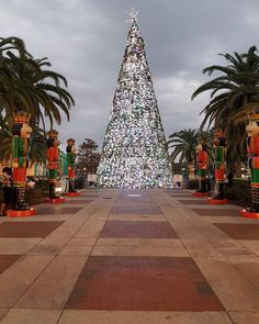 a large christmas tree in the middle of a walkway with nutcrackers around it