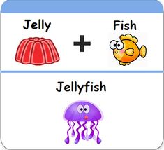 an english flash card with pictures of jellyfish and fish