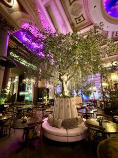 a tree in the middle of a room with tables and chairs