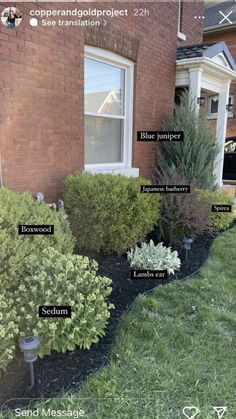 the different types of shrubs in front of a house