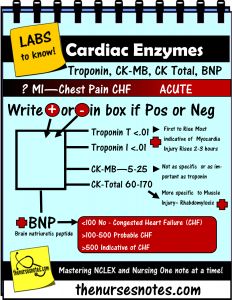 a poster with instructions on how to use the cardioc enzymes for writing