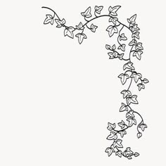 a black and white drawing of a vine with leaves