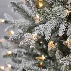 a close up view of the branches of a christmas tree with white lights on it