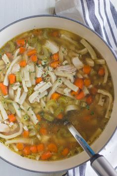 chicken noodle soup with carrots, celery and noodles