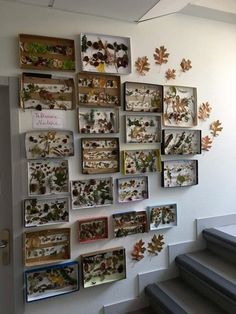 there are many pictures on the wall with autumn leaves hanging from it's sides