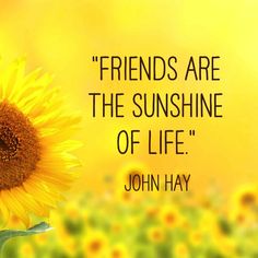 a sunflower with a quote from john hay about friends are the sunshine of life