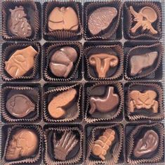 an assortment of chocolates in different shapes and sizes