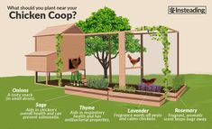 the chicken coop is designed to look like a house