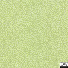 Sassy Green Cheetah Print Wallpaper Green Cheetah Print Wallpaper, Lime Green Wallpaper, Green Cheetah Print, Cheetah Wallpaper, Cheetah Print Wallpaper, Brewster Wallpaper, Brewster Wallcovering, Green Pictures, Desktop Wallpaper Pattern